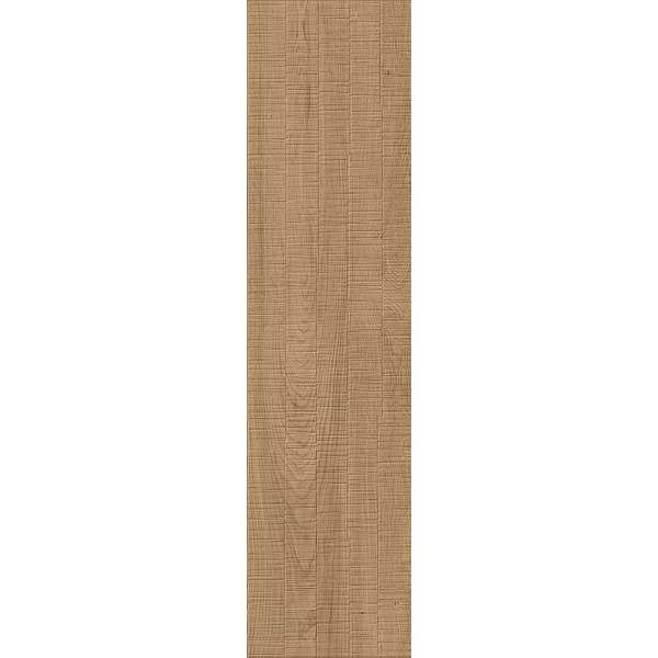 Bark Ash Saw Cut