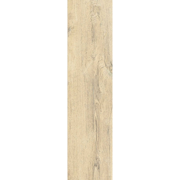 Bark Elm