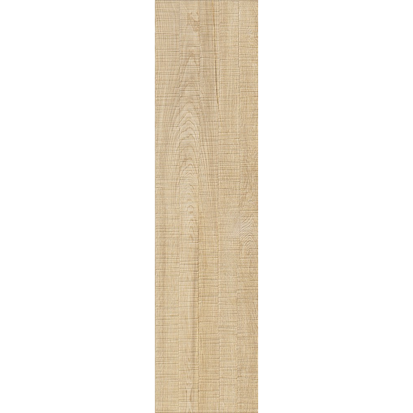 Bark Elm Saw Cut