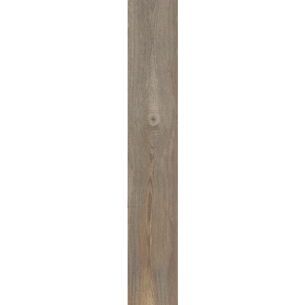 Universal Oak