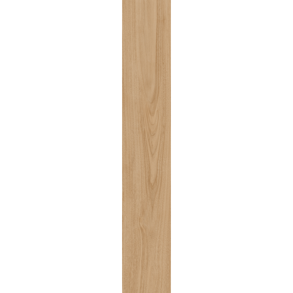 Stage Beige NR