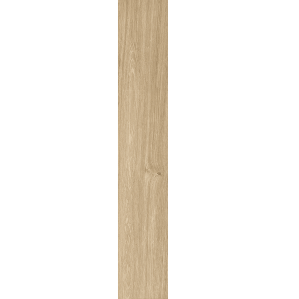 Raggio Rovere
